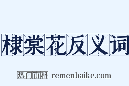 棣棠花反义词是什么意思的图片